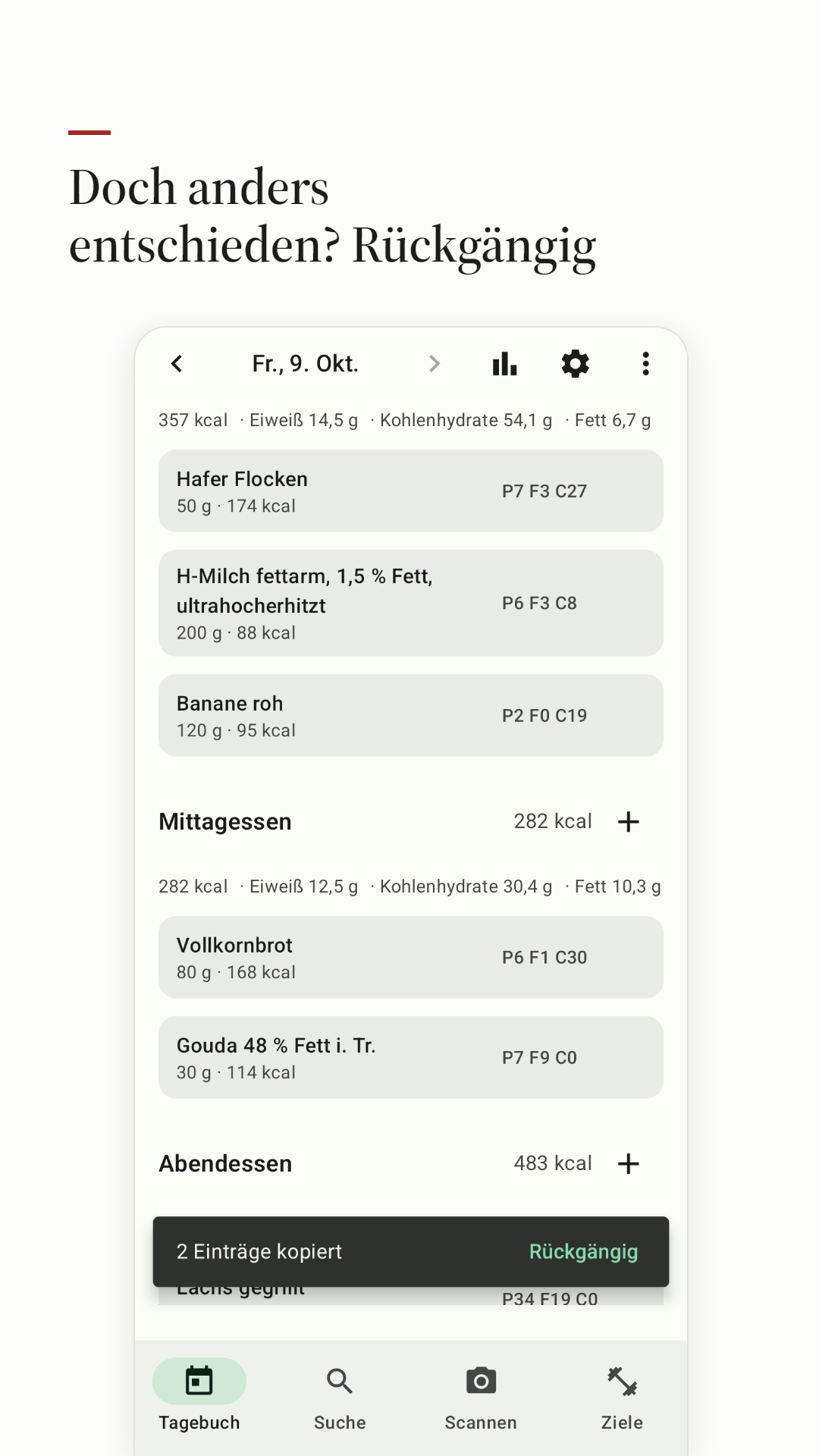 Eine Rückgängig-Option nach einer Änderung im Tagebuch.